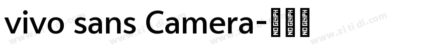 vivo sans Camera字体转换